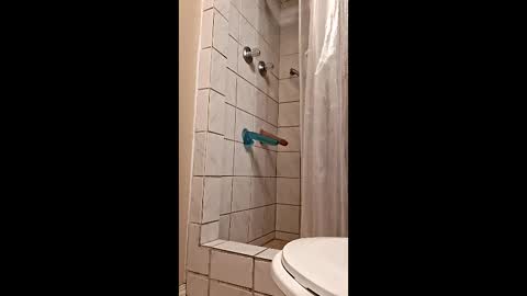 Snapshot of sologirl81 chatting on 02.06.26 sologirl81 online show from 02.06.26