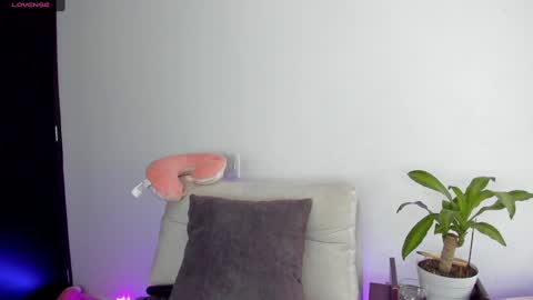 Snapshot of sophie_001 chatting on 01.13.25  Sophie  online show from 01.13.25