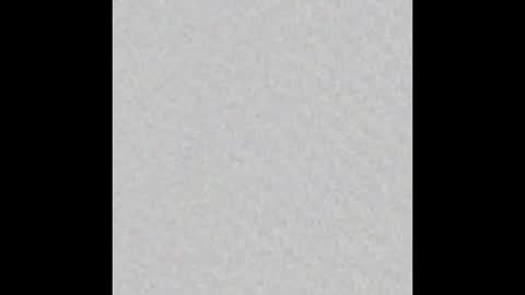 SOPHIE - FOXX online show from 12.09.24