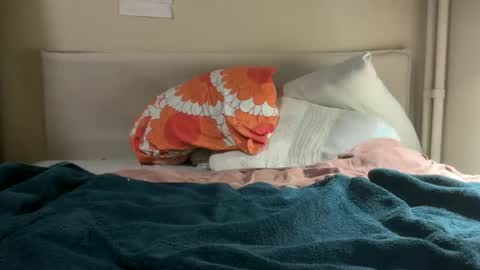 sorayaknight online show from 06.14.26