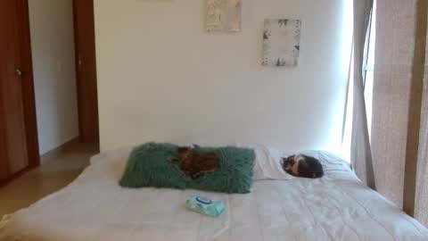 Snapshot of soysilvanna_ chatting on 02.28.26 online show from 02.28.26