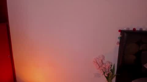 Snapshot of soytucolor chatting on 01.15.25 Paula add me on snap online show from 01.15.25