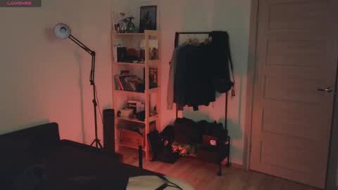 Snapshot of space_x_roxy chatting on 12.20.24 Roxy online show from 12.20.24