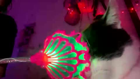 Spacegirl online show from 11.08.25