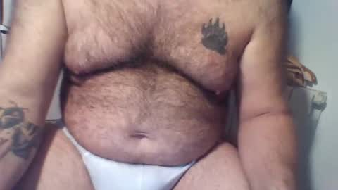 spain_bear online show from 11.04.25