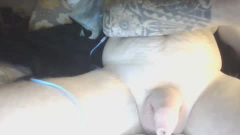 Snapshot of species98 chatting on 01.29.25 species online show from 01.29.25