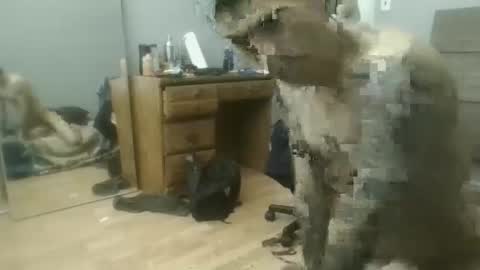 Snapshot of speedfreekeespun chatting on 02.25.25 speedfreekeespun online show from 02.25.25