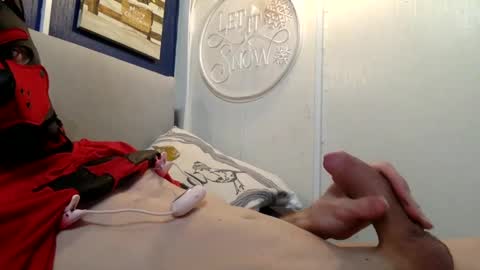 Spidey Pup online show from 12.26.24