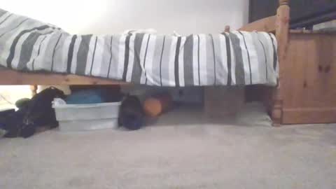 Sportyguy283 online show from 03.04.25