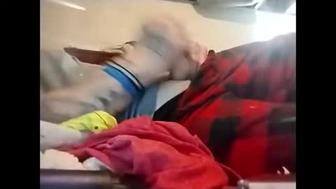 Snapshot of spundaddyandprincess chatting on 12.08.24 spundaddyandprincess online show from 12.08.24