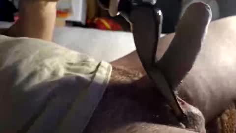 srb543 online show from 12.16.25