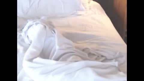 st8llion online show from 03.06.26