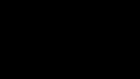 Stacy  online show from 11.08.25