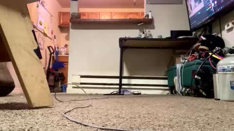 Submissive Slut LOVES adoration online show from 02.21.26