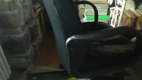 Snapshot of stalloneumbro chatting on 01.21.25 CIPPALIPPA online show from 01.21.25