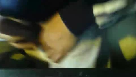 CIPPALIPPA online show from 11.02.25