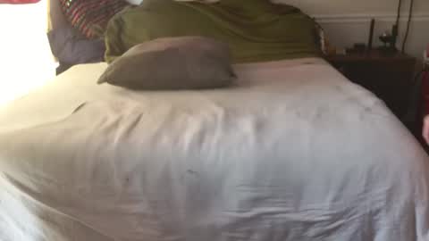 staloney online show from 02.10.26