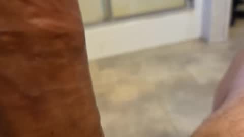 stareyes0249 online show from 09.11.25