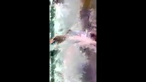 StarryWhispers online show from 03.28.26