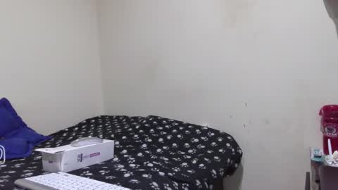 STEFANA online show from 11.30.25