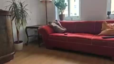 Stefan online show from 06.15.26