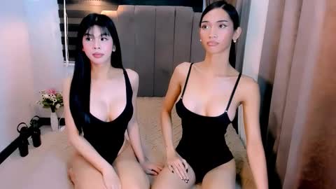 STEF online show from 02.20.26