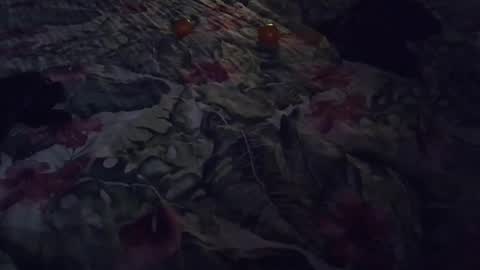 Snapshot of stel7621 chatting on 01.07.25 Rocco-load online show from 01.07.25