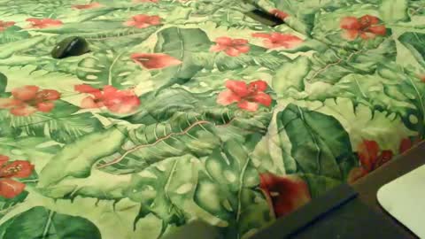 Rocco-load online show from 12.18.25