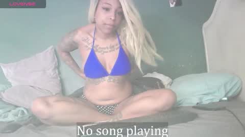 Snapshot of stella_clitella chatting on 01.17.26 Stella Clitella online show from 01.17.26