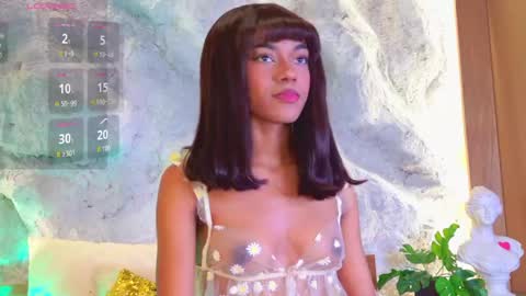 S T E L L A online show from 04.28.26