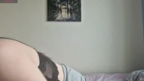 Snapshot of stellafalt chatting on 11.26.25 Stella online show from 11.26.25