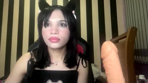 stellapapillon online show from 02.10.26