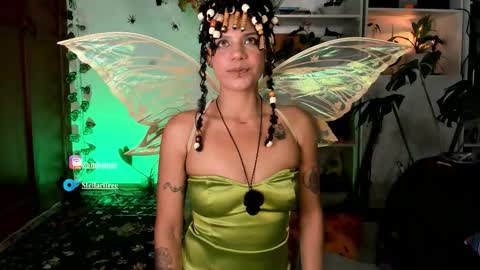 Snapshot of stellart_ chatting on 11.01.25 stellart_ online show from 11.01.25