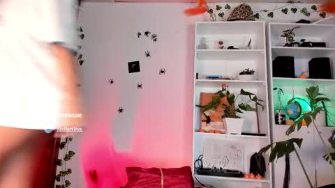 Snapshot of stellart_ chatting on 11.04.25 stellart_ online show from 11.04.25