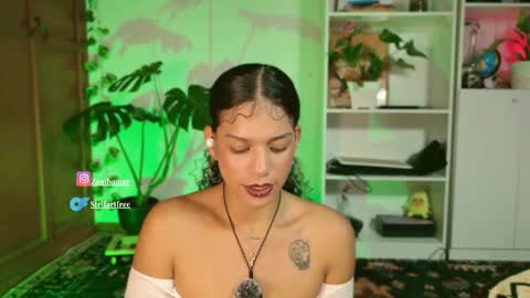 Snapshot of stellart_ chatting on 11.19.25 stellart_ online show from 11.19.25