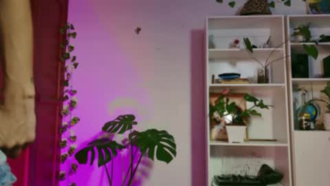 Snapshot of stellart_ chatting on 11.20.25 stellart_ online show from 11.20.25