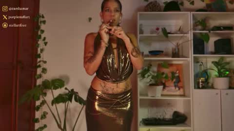 Snapshot of stellart_ chatting on 11.28.25 stellart_ online show from 11.28.25