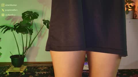 Snapshot of stellart_ chatting on 12.05.25 stellart_ online show from 12.05.25