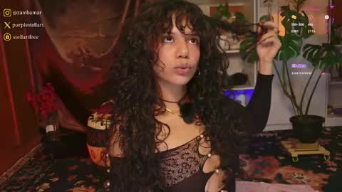 Snapshot of stellart_ chatting on 12.18.25 stellart_ online show from 12.18.25