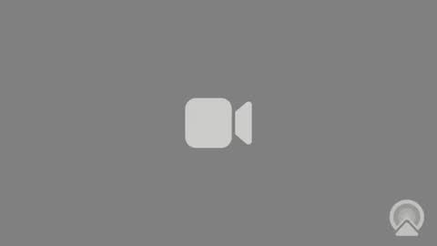 stells online show from 11.13.25