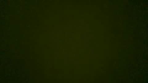 Snapshot of stensurfarn chatting on 05.26.26 stensurfarn online show from 05.26.26