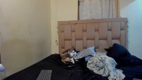 Stepcouple   online show from 01.07.26