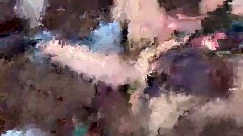 stephellex online show from 11.29.25