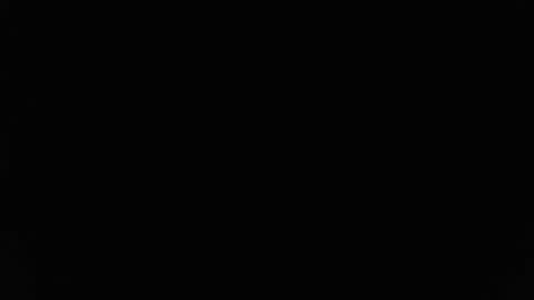 Stew Pididiot online show from 02.11.26