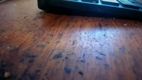 Stoner Dad online show from 04.28.26