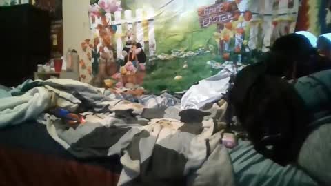 StormAlley420 online show from 03.11.25