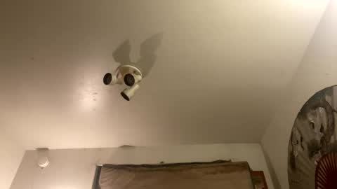 Snapshot of strangestag chatting on 09.27.25 Stag online show from 09.27.25