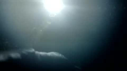 Bigdickdugan online show from 01.26.25