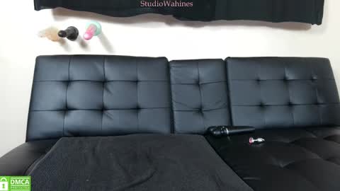 Snapshot of studiowahines chatting on 03.12.25 StudioWahines online show from 03.12.25