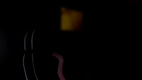 Snapshot of sub_austr chatting on 01.19.25 sub_austr online show from 01.19.25